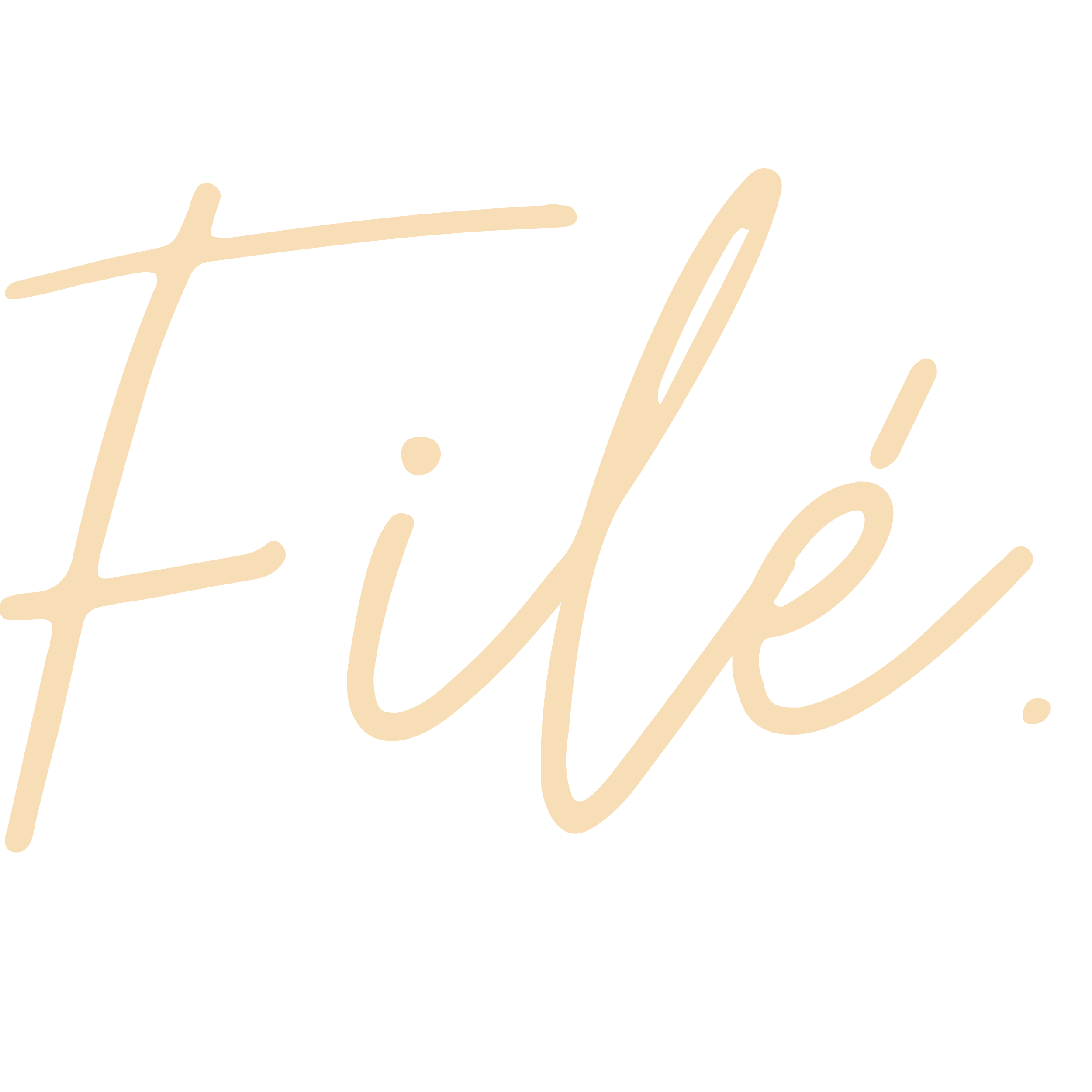 Filé.